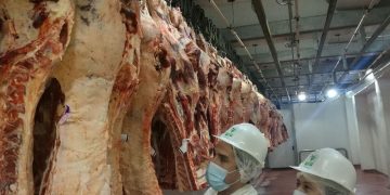 Paraguay tiene carne para exportar el doble, pero le falta institucionalidad