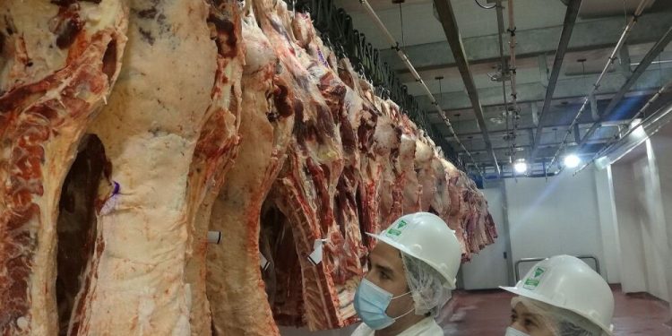 Paraguay tiene carne para exportar el doble, pero le falta institucionalidad
