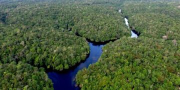 Resaltan el valor del Chaco que atrae la mirada de las inversiones sostenibles