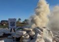 Incautan y destruyen más de siete toneladas de marihuana en Amambay