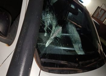 Detenido por atacar una patrullera con machete