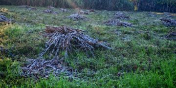 Escarchas en el sur del país marcan el amanecer más frío del año