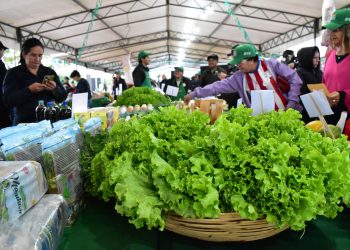 MAG impulsa ferias de la agricultura familiar para fortalecer la producción