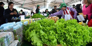 MAG impulsa ferias de la agricultura familiar para fortalecer la producción