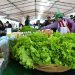 MAG impulsa ferias de la agricultura familiar para fortalecer la producción