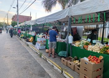 El MAG organiza nueve ferias de la agricultura familiar en Central y Cordillera para arrancar junio