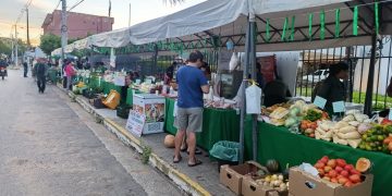 El MAG organiza nueve ferias de la agricultura familiar en Central y Cordillera para arrancar junio