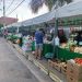 El MAG organiza nueve ferias de la agricultura familiar en Central y Cordillera para arrancar junio