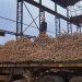 Petropar supera las 60.000 toneladas de caña molida en el primer mes de zafra