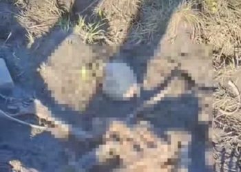 San Pedro: Hallan restos humanos en el interior de una estancia
