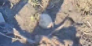San Pedro: Hallan restos humanos en el interior de una estancia