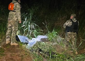 Incautan más de una tonelada de marihuana tras operativo fluvial en el río Paraná