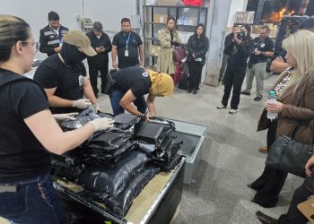 Incautan 147 kilos de marihuana premium enviados desde Estados Unidos y detienen a tres personas