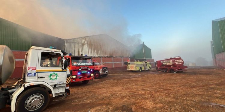 Edelira: Voraz incendio consume depósitos de yerba mate en planta industrial