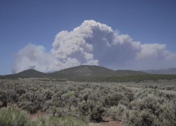 Utah declara estado de emergencia por el mayor incendio forestal activo de Estados Unidos