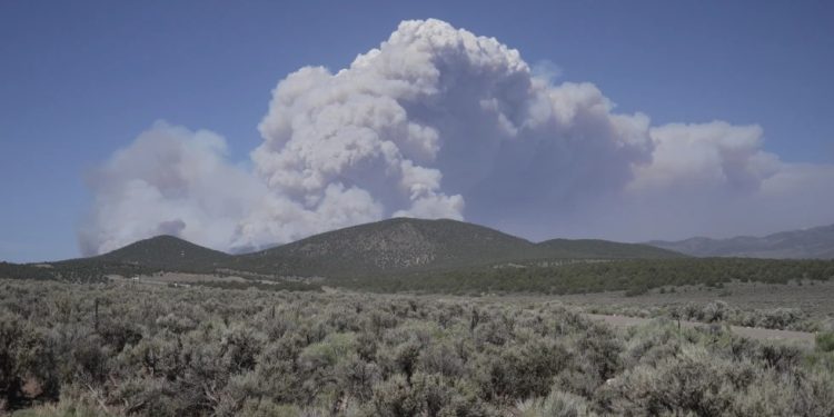 Utah declara estado de emergencia por el mayor incendio forestal activo de Estados Unidos