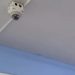 Investigan instalación de cámaras en baños de una institución educativa de Ciudad del Este