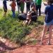 Adolescente de 15 años fallece tras caída de motocicleta en Horqueta