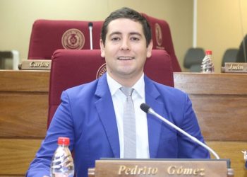 Apuestan a la renovación de la representación juvenil y a la unidad del PLRA