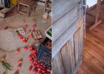 Delincuentes hurtan electrodomésticos de una humilde escuela en Juan León Mallorquín