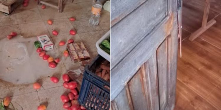 Delincuentes hurtan electrodomésticos de una humilde escuela en Juan León Mallorquín