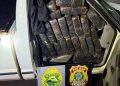 Más de una tonelada de marihuana cae en operativo policial en la frontera paraguaya-brasileña