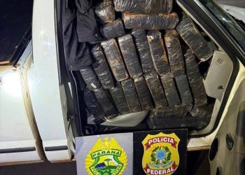 Más de una tonelada de marihuana cae en operativo policial en la frontera paraguaya-brasileña