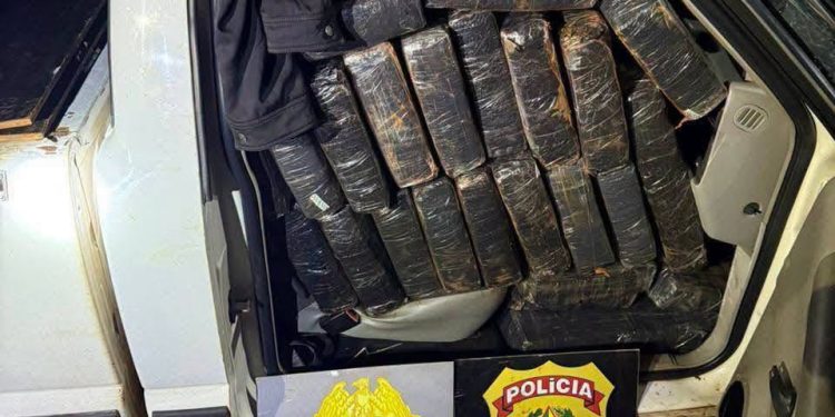 Más de una tonelada de marihuana cae en operativo policial en la frontera paraguaya-brasileña