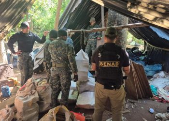 Desarticulan megaestructura de marihuana en Yby Yaú y causan perjuicio millonario al narcotráfico