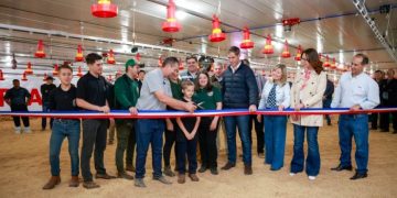 Nueva granja avícola generará más de 780 empleos en Caaguazú