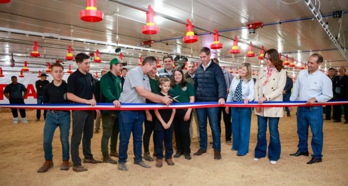 Nueva granja avícola generará más de 780 empleos en Caaguazú