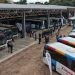 Incorporan 20 buses cero kilómetros para reforzar el servicio de la Línea 44