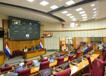 Senado aprueba USD 75 millones para nuevas pavimentaciones y puentes