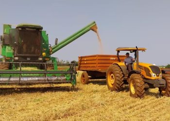 Índice de Precios del Productor mantiene tendencia descendente
