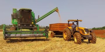 Índice de Precios del Productor mantiene tendencia descendente