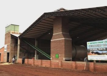 Bajos precios golpean a productores yerbateros de Paso Yobái