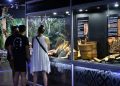 Museo de Itaipú se consolida como centro regional de investigación en biodiversidad
