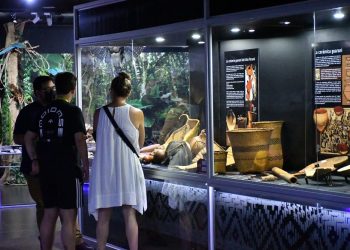 Museo de Itaipú se consolida como centro regional de investigación en biodiversidad
