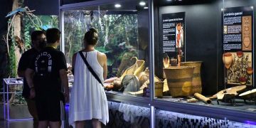 Museo de Itaipú se consolida como centro regional de investigación en biodiversidad