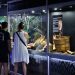 Museo de Itaipú se consolida como centro regional de investigación en biodiversidad
