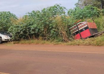 Fuerte colisión provocó vuelco y la muerte de un caballo