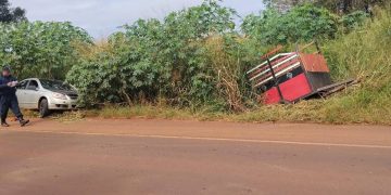 Fuerte colisión provocó vuelco y la muerte de un caballo