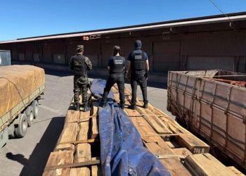 Brasil reportó histórica incautación de 50 toneladas de cocaína en madera