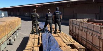 Brasil reportó histórica incautación de 50 toneladas de cocaína en madera