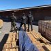 Brasil reportó histórica incautación de 50 toneladas de cocaína en madera