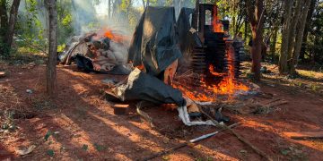Destruyen campamento narco y más de 3.500 kilos de marihuana en San Pedro