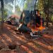 Destruyen campamento narco y más de 3.500 kilos de marihuana en San Pedro