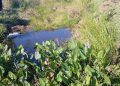 Hallan cuerpo sin vida de un recién nacido en un tajamar en Caraguatay