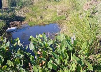 Hallan cuerpo sin vida de un recién nacido en un tajamar en Caraguatay