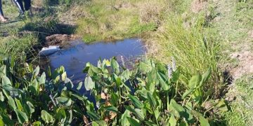 Hallan cuerpo sin vida de un recién nacido en un tajamar en Caraguatay